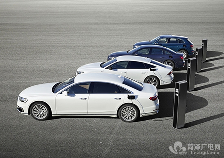 1124197826_15518318203061n (1).jpg