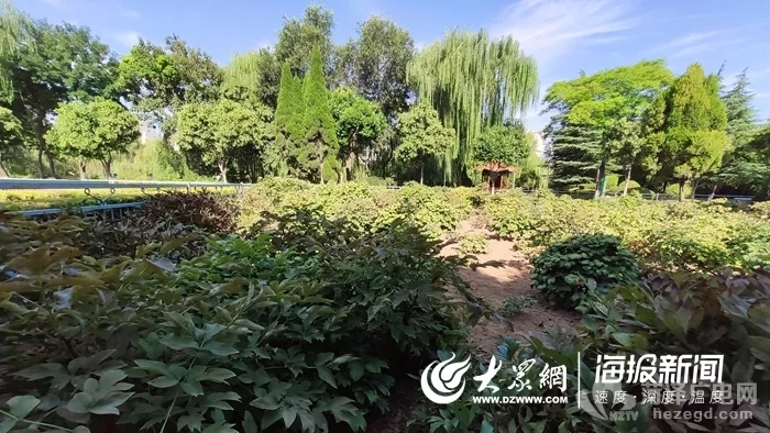 640 (2).webp (2).jpg