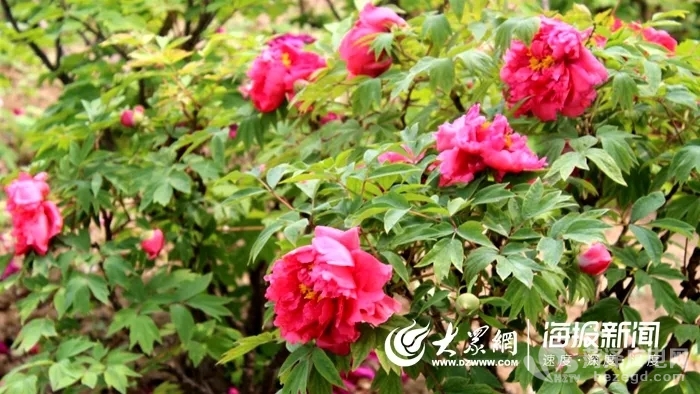 640 (2).webp (3).jpg