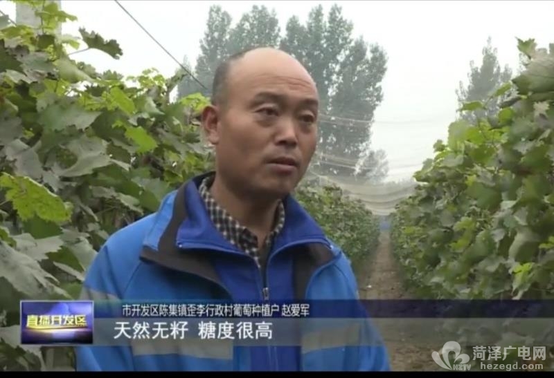 微信图片_20201103151425.jpg