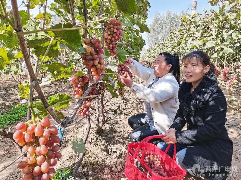 微信图片_20201103151414.jpg