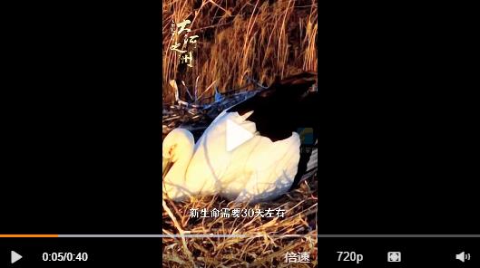 微信截图_20221023115410.jpg