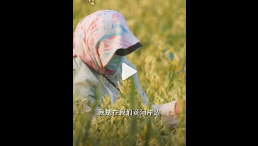 微信截图_20221025163312.jpg