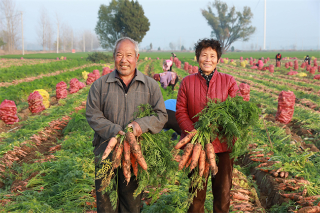 f46929e9-5ab3-4a38-9a04-94a93451d402副本.jpg
