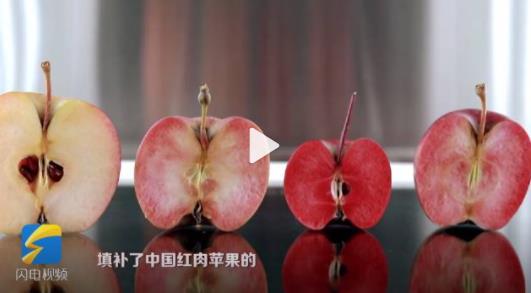 微信截图_20230119094248.jpg