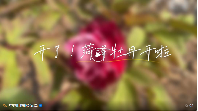 微信截图_20230320170239.png