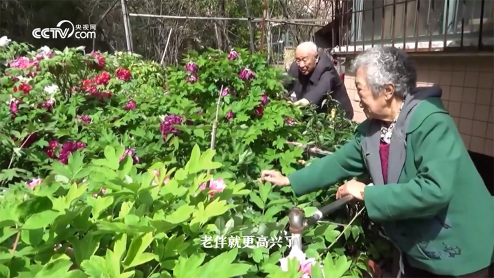 微信图片_20230413160014副本.jpg