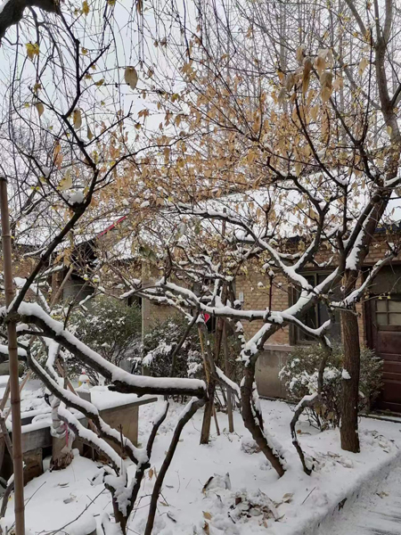 微信图片_20240202104001.jpg