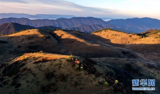 （美丽中国）（3）大巴山神田草甸