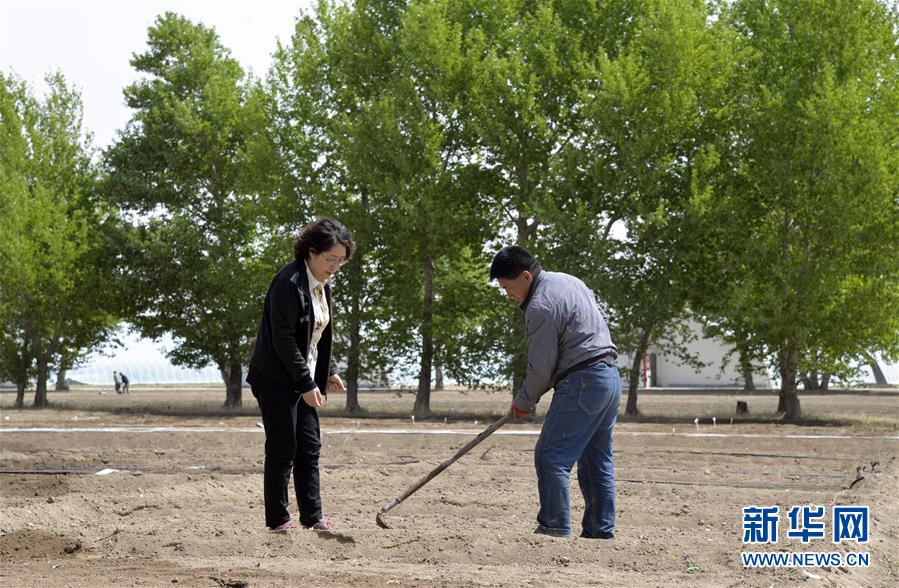 （两会·漫话图说）（4）全国人大代表郭艳玲：保护草原生态 促进畜牧业发展