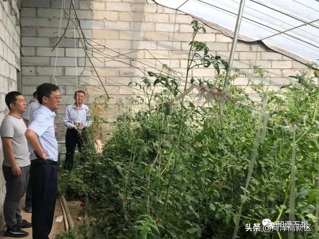 【万福党建】红旗高扬，奋战在一线的菏泽高新区万福机关党员