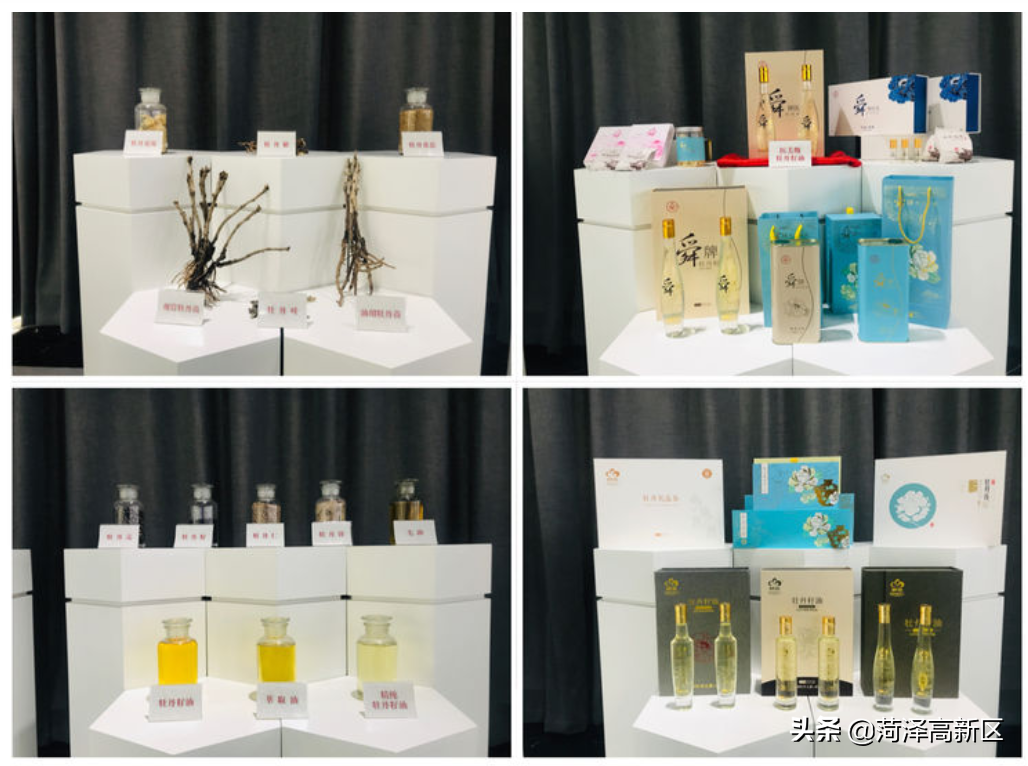 菏泽高新区：以科技创新引领牡丹产业融合发展