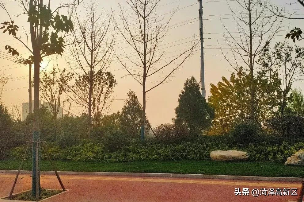 兰州路，菏泽高新区的 “绿丝带”