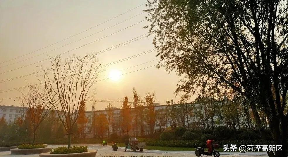 兰州路，菏泽高新区的 “绿丝带”
