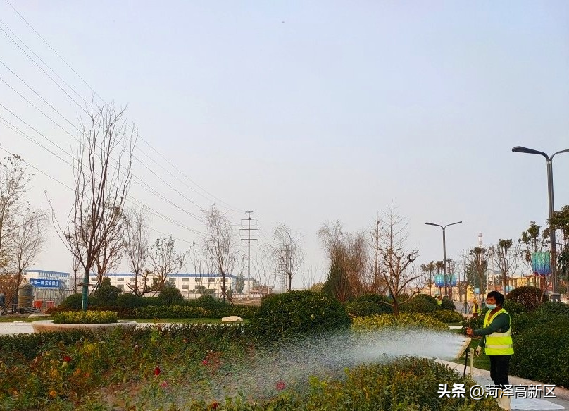 兰州路，菏泽高新区的 “绿丝带”