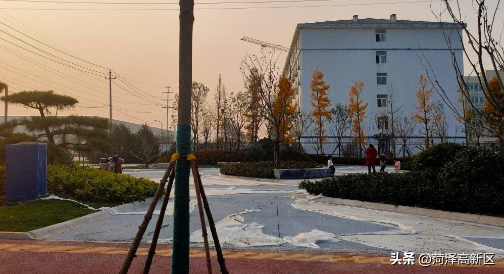 兰州路，菏泽高新区的 “绿丝带”