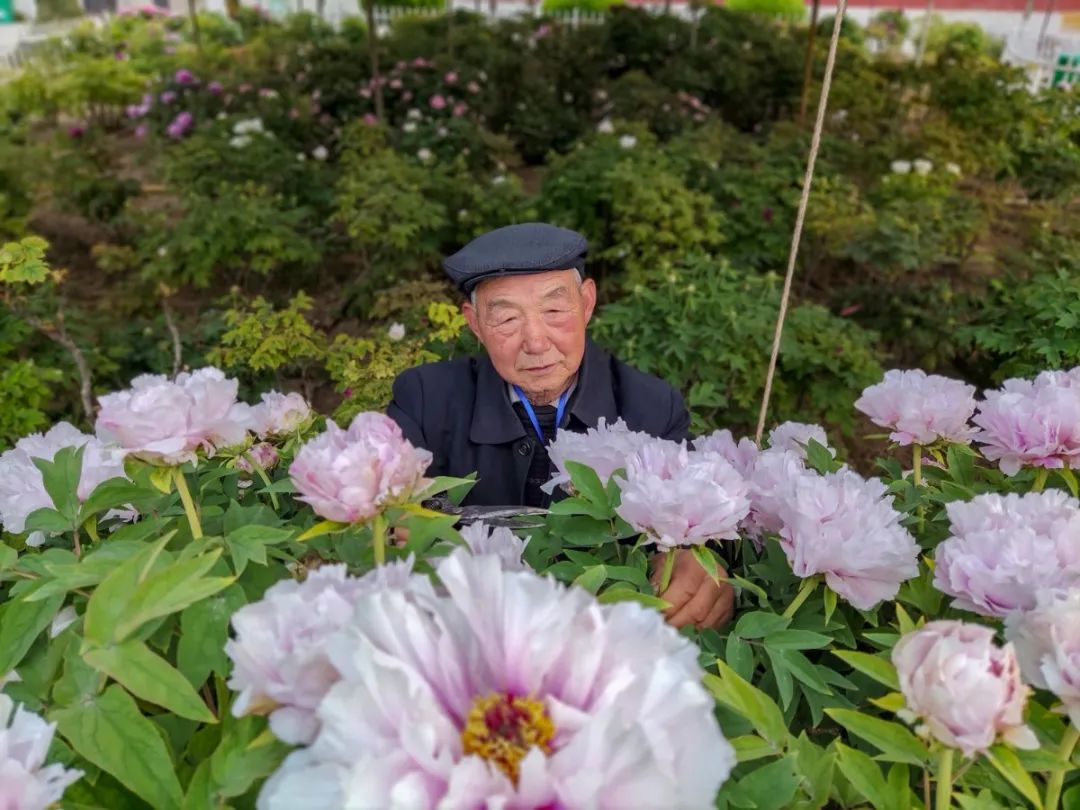 GetAttachment (2).jpg 图片