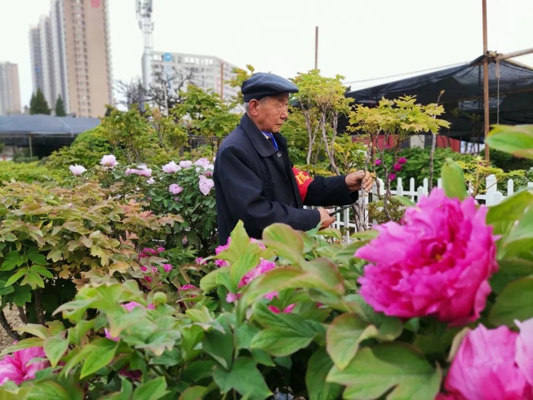 GetAttachment (3).jpg 图片