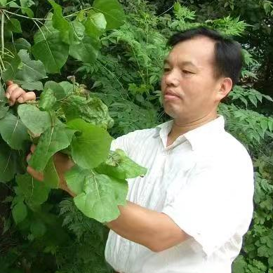 微信图片_20221018165700.jpg 图片