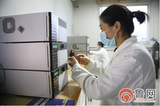 一颗虎杖带来上亿产业，提升滩区群众获得感幸福感