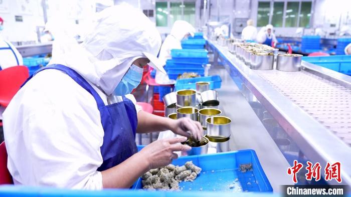 菏泽博势食品有限公司“朵儿玛”生产线上,工人正在工作。 菏泽宣传部供图 菏泽博势食品有限公司“朵儿玛”生产线上,工人正在工作。 菏泽宣传部供图