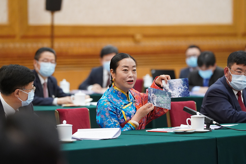 2021年3月7日,习近平总书记在参加十三届全国人大四次会议青海代表团审议时,全国人大代表孔庆菊在会上展示了两张照片,上面分别是祁连山地区多年不见踪迹的雪豹和荒漠猫。