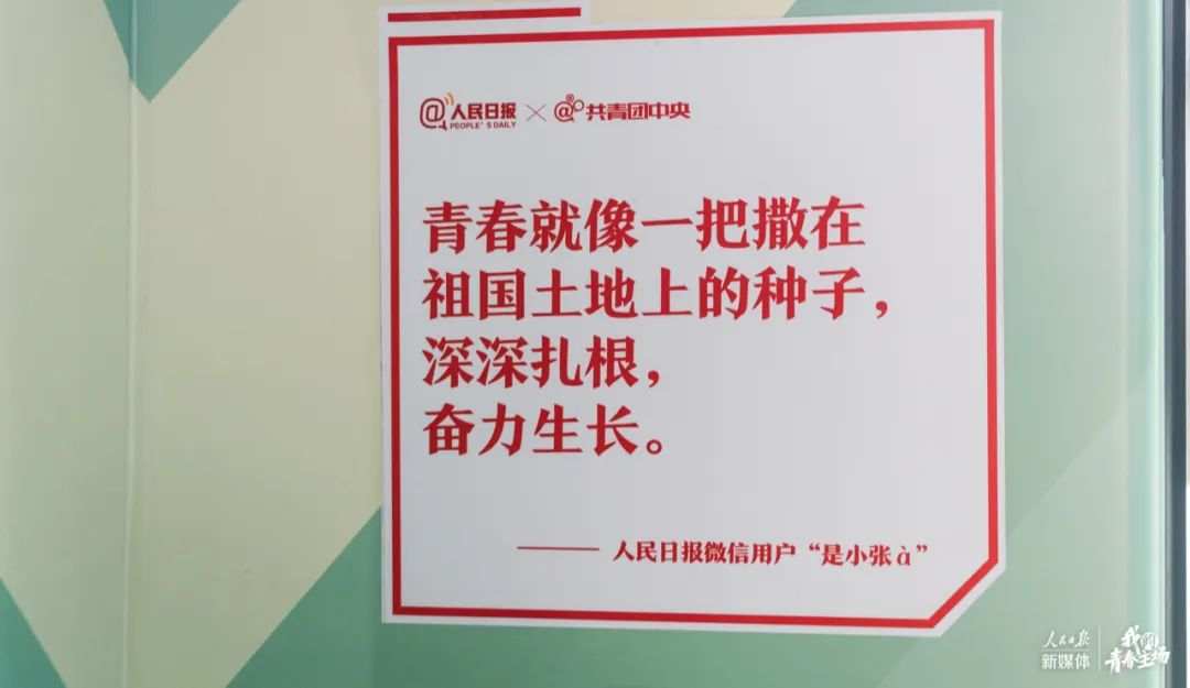 1678097677293263.jpeg?x-oss-process=style/w10 640-8.jpeg?x-oss-process=style/w10