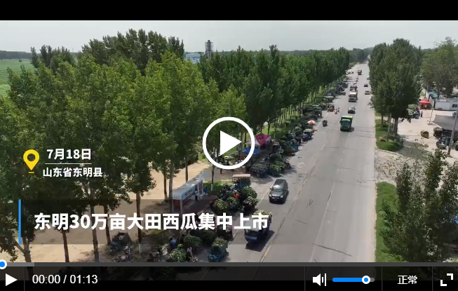 微信截图_20230801184528