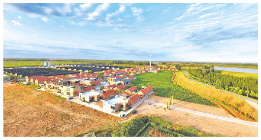 东营杨庙·黄河里旅游度假区俯瞰图。(□记者李广寅通讯员王建超报道) 东营杨庙·黄河里旅游度假区俯瞰图。(□记者李广寅通讯员王建超报道)