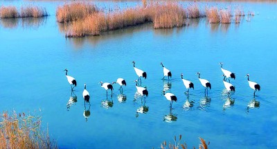 盛夏逐“绿”行——山东推动绿色低碳高质量发展先行区建设的实践探索 盛夏逐“绿”行——山东推动绿色低碳高质量发展先行区建设的实践探索