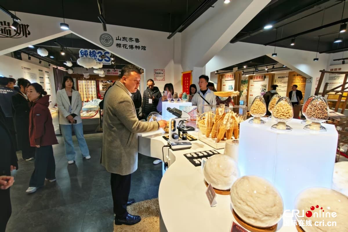 沿着黄河遇见海,感受“幸福河”的魅力与新生