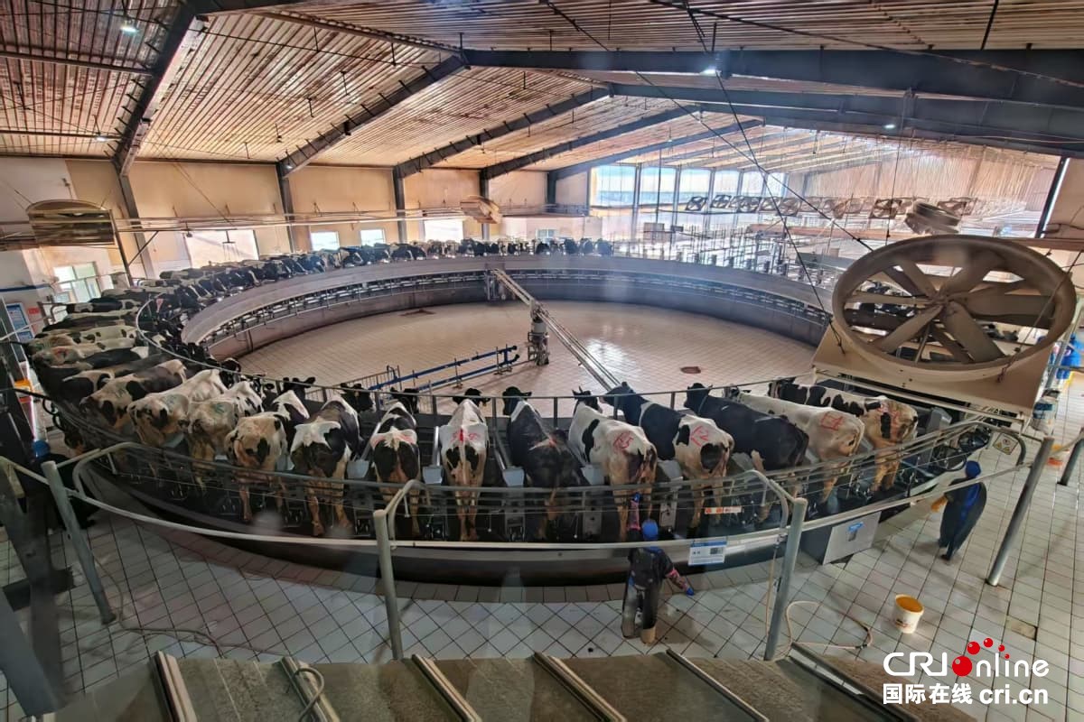 沿着黄河遇见海,感受“幸福河”的魅力与新生