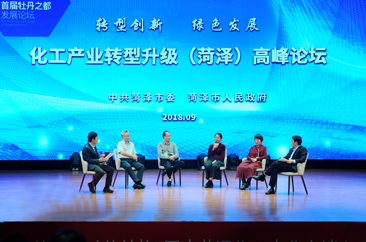 化工产业转型升级（菏泽）高峰论坛