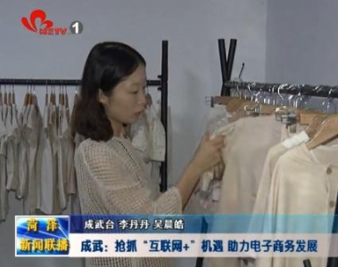 成武：抢抓“互联网+”机遇 助力电子商务发展