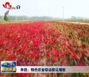 单县：特色农业带动群众稳定增收
