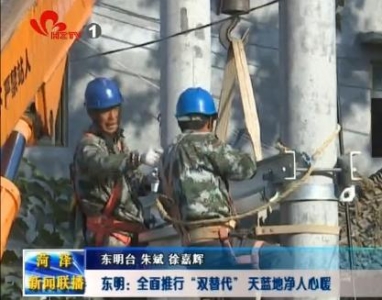 东明：全面推行“双替代” 天蓝地净人心暖