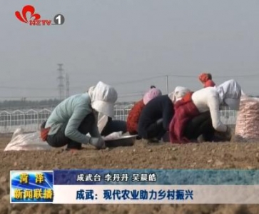 成武：现代农业助力乡村振兴