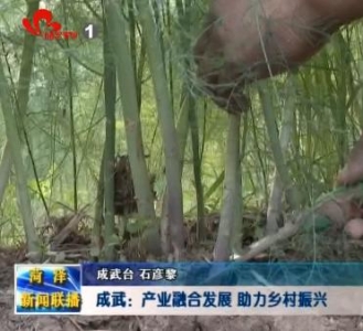 成武：产业融合发展 助力乡村振兴