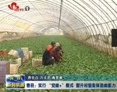 曹县：实行 “党建+”模式  提升村级集体造血能力