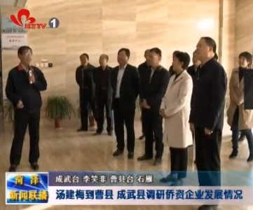  汤建梅到曹县 成武县调研侨资企业发展情况