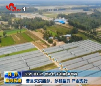 曹县朱洪庙乡：乡村振兴  产业先行