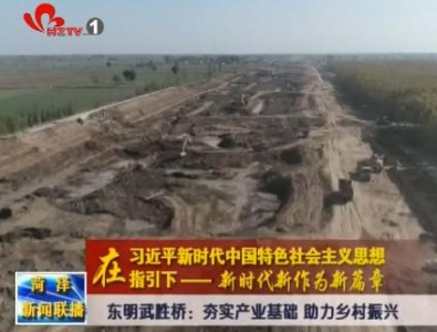 东明县武胜桥镇：夯实产业基础 助力乡村振兴