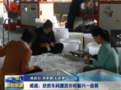 成武县：扶贫车间激活乡村振兴一盘棋