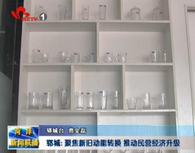 郓城: 聚焦新旧动能转换 推动民营经济升级