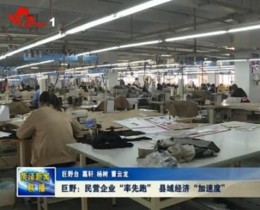 巨野：民营企业“率先跑” 县域经济“加速度”