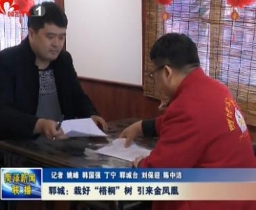  郓城：栽好“梧桐”树 引来金凤凰