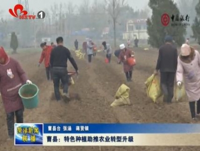 曹县：特色种植助推农业转型升级