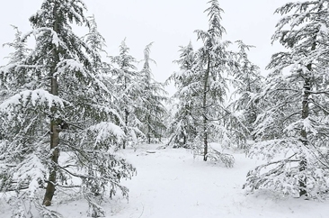 雪后的城市满是冬天的味道