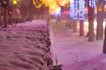 昨夜，飞雪突袭菏泽  为“2.14”平添一抹浪漫