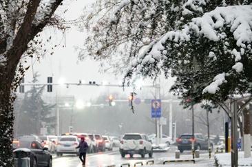 2019年初春好兆头  迎头赶上一场瑞雪